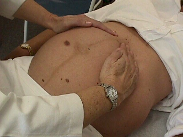 first prenatal visit to confirm pregnancy